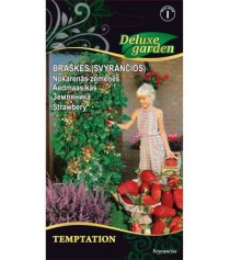 Braškės svyrančios Temptation 0,05 g